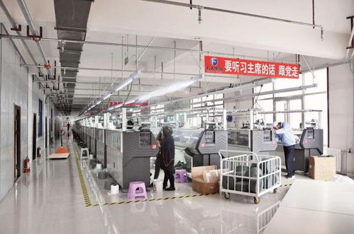 甘肅東鄉縣 新身份 新就業 新家園