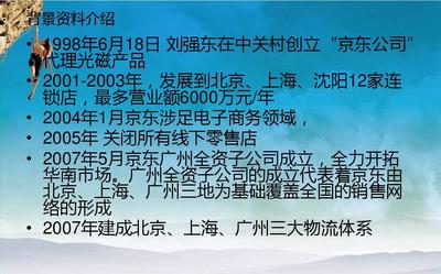 京東企業(yè)戰(zhàn)略管理分析